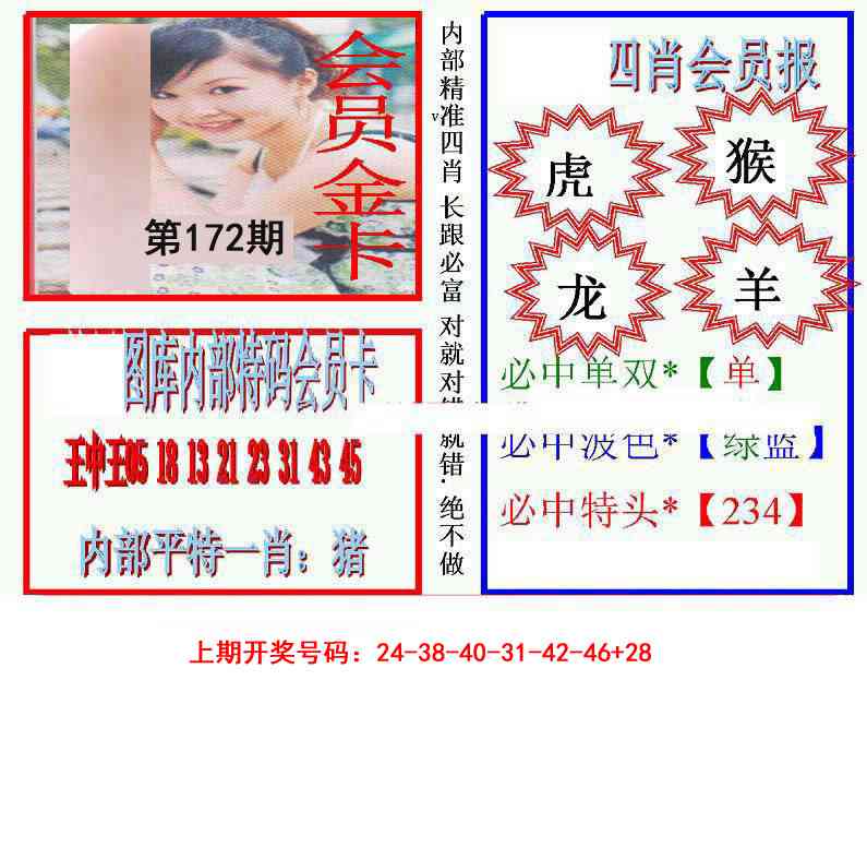 九龍四肖会员报